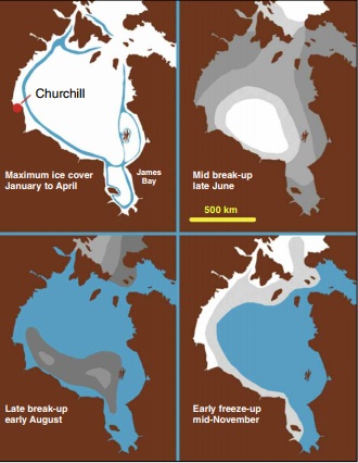 Hudson Bay sea ice