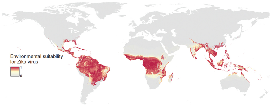 Global map showing environmantal suitability for the Zika virus