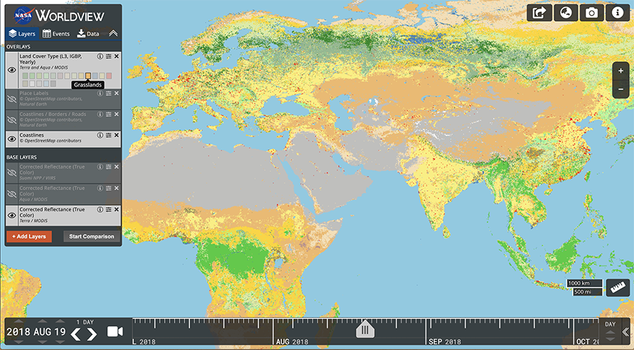 Visualization of the Terra and Aqua Moderate Resolution Imaging Spectroradiometer (MODIS) Land Cover Type in Worldview.
