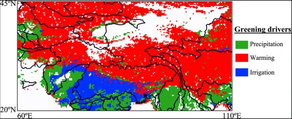 Precipitation-driven greening is observed in areas where the information about leaf area index (LAI) from precipitation/soil moisture is the highest. Warming-induced greening is limited to areas where the information from snow cover about LAI is the highest. Irrigation-induced greening is observed in irrigated lands where the information about LAI from soil moisture is the highest. Graphic courtesy of Dr. Maina.