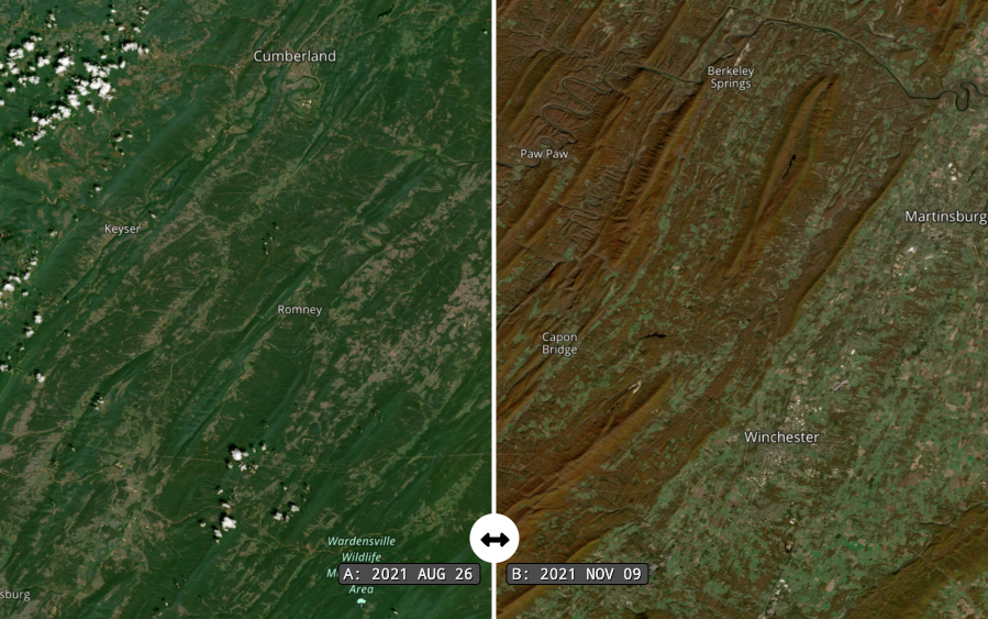 Worldview interactive HLS data image comparing fall foliage colors. HLS data image comparing fall foliage colors.