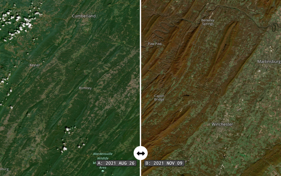 HLS data image comparing fall foliage colors.