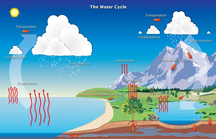 This graphic shows the flow of water through the water cycle, beginning with the movement of water from the ocean to the atmosphere (evaporation), the atmosphere to the Earth and ocean (precipation) and from the land to waterways, such as lakes and the ocean (runoff).