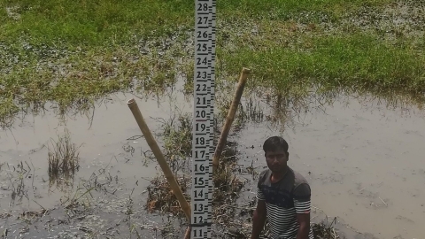 A person installs a gauge in one of Bangladesh’s seasonal lakes