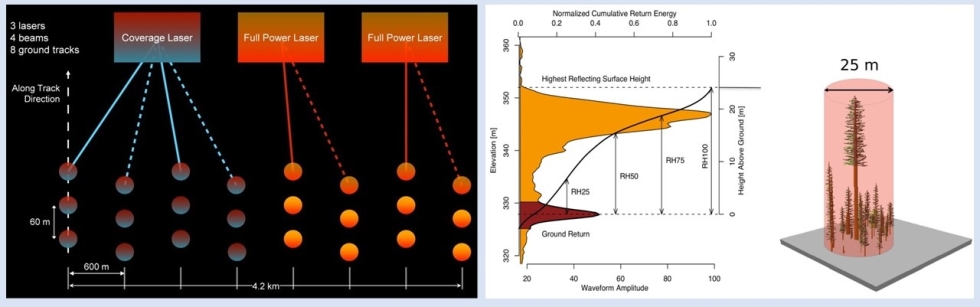 Two images showing how GEDI data are acquired. Left image shows lidar laser pattern with colored dots on a black background. Right image shows image of forest canopy being scanned by lidar and resulting data image.