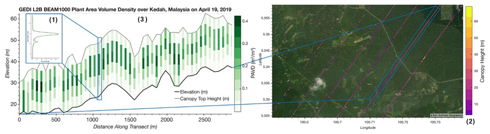 Left image shows GEDI data, with a series of colored bars at different heights indicating ground elevation, canopy height, and plant density. Left image shows colored dots indicating ground elevation along GEDI sensor track.