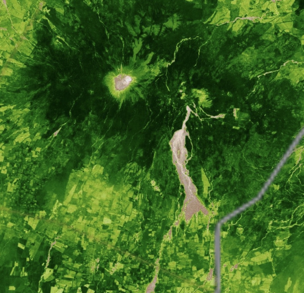 Screenshot of Normalized Difference Vegatation Index of King Fire area of burn.