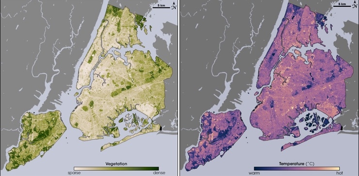 These images from the NASA/USGS satellite Landsat show the cooling effects of plants on New York City’s heat. On the left, areas of the map that are dark green have dense vegetation. Notice how these regions match up with the dark purple regions—those with the coolest temperatures—on the right. Image credit: Maps by Robert Simmon, using data from the Landsat Program.