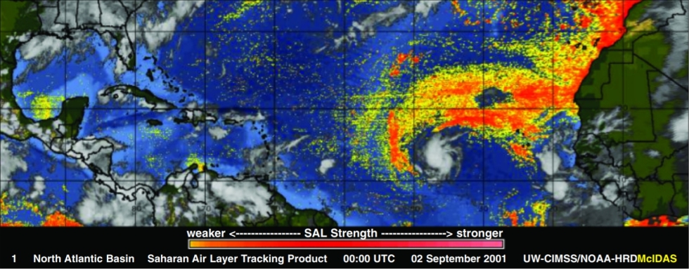 Tropical Depression Erin