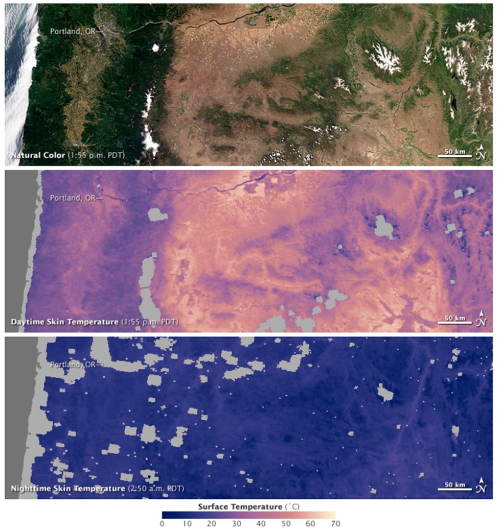 Satellite images show the relationship between the characteristics of a landscape, and day and night surface skin temperature. Heavily forested areas remain relatively cool throughout the day, while barren and arid areas can be tens of degrees warmer. These images were acquired in the early morning and afternoon of July 6, 2011.