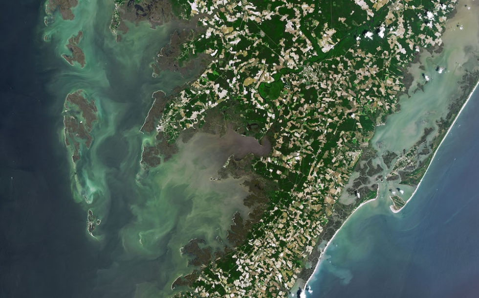 Assateague and Chincoteague provide a rare example of overlapping barrier islands. All of them are constantly in motion. June 2, 2019 image from the NASA / USGS Landsat 8 Operational Land Imager (OLI). Credit: NASA Earth Observatory