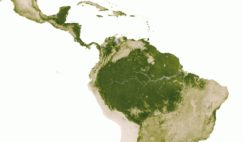 Multi-year average of the leaf area index of the Amazon based on Terra MODIS data