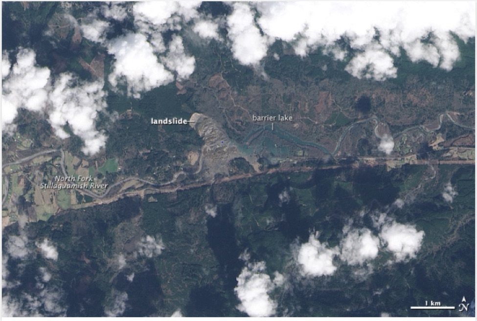 The Operational Land Imager (OLI) on Landsat 8 acquired the above image of landslide debris from the Oso, Washington landslide and the barrier lake that formed subsequently on March 23, 2014.