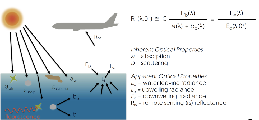 When light interacts with water, it can be absorbed or scattered. Through a series of complex algorithms, the relationship between this absorption and scattering can provide a remote-sensing reflectance value for the water-leaving radiance.