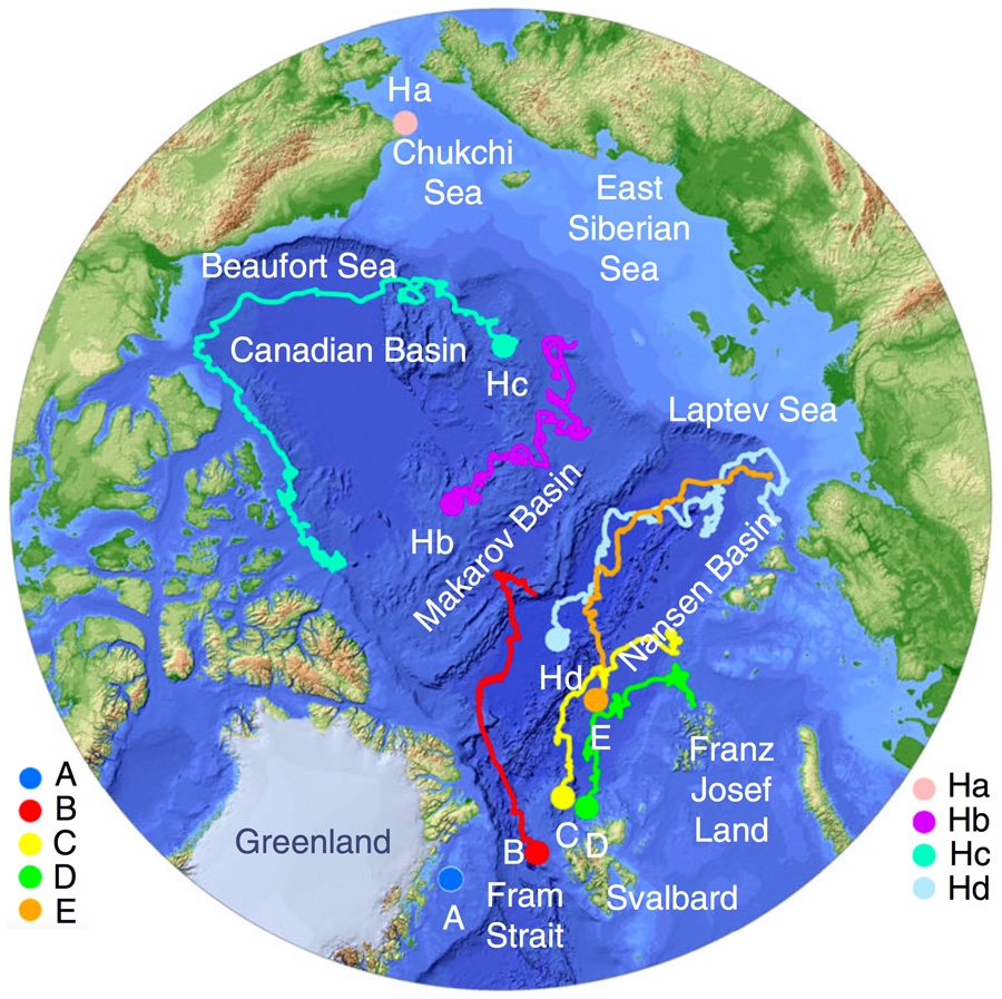 Data image showing sea ice motion and sea ice core collection