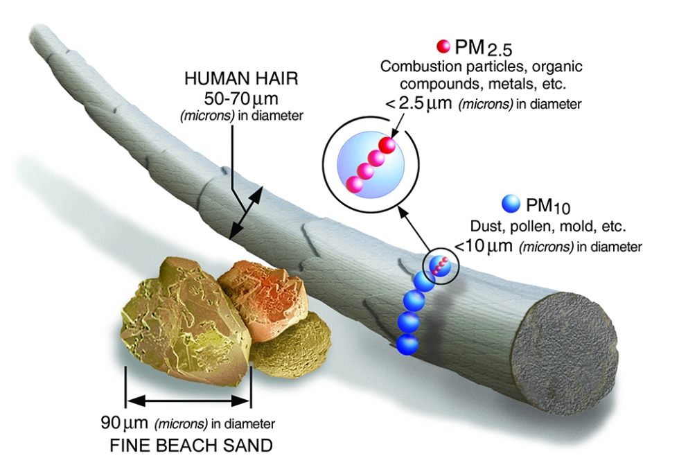 Size comparisons for particulate matter as compared to each other, a human hair, and beach sand. Credit: Environmental Protection Agency