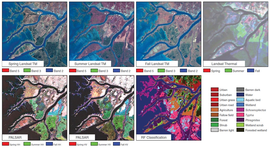 Series of satellite images captured over Great Lakes wetlands