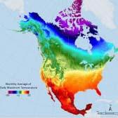 Visualization of Daymet data at ORNL DAAC