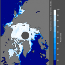 Northern Hemisphere sea ice concentration for January 5, 1980. 