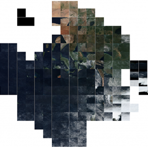 A two-dimensional t-SNE visualization of how the Self-Supervised Learner (SSL) tool represents satellite imagery acquired from NASA's Global Imagery Browse Services (GIBS) 