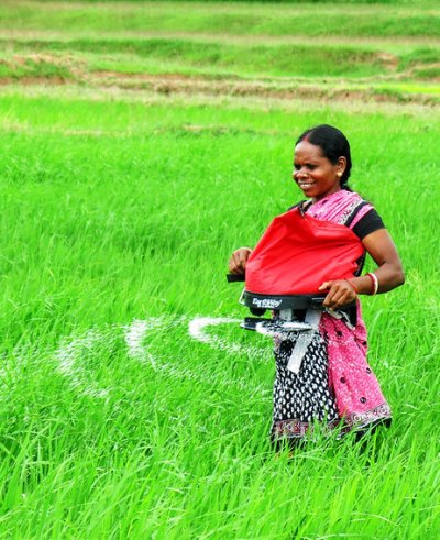 Image shows farmer in India spreading fertilizer with a mechanical fertilizer applicator.