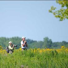 By sharing their observations, birdwatchers can help scientists understand where the various species of birds are throughout the year.