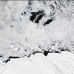 This image of the Oates and Pennell Coasts of Antarctica, acquired by MODIS on December 3, 2002, shows several large polynyas.