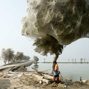 A girl stands next to a tree covered in webs in a heavily flooded area in Sindh, Pakistan. 