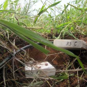 Probes are buried in the ground at different depths to estimate soil moisture content