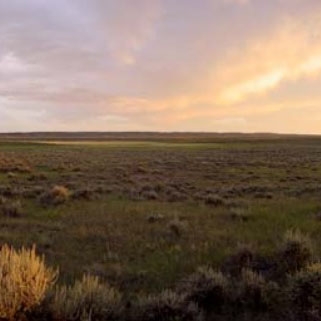 Photograph of range land near the Charles M. Russell Wildlife Refuge in Central Montana. 