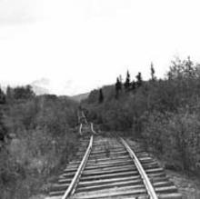 The abandoned Copper River and Northwestern Railway near Strelna in south-central Alaska illustrates how building a railroad on permafrost thaw can cause the railroad bed to settle unevenly. 