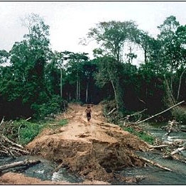 Logging for the purpose of clearing land for agriculture continues to threaten the Brazilian rainforest. (Image courtesy of the United Nations Environment Programme, USGS, and NASA).