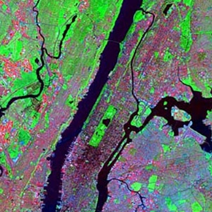 This image captured over New York City on October 2, 1999, is a false color composite combining surface temperature and vegetation abundance information. 