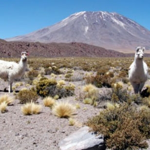 Lascar volcano in Chile is the most active volcano in the central Andes, with several eruptions occurring during the 1990s. 