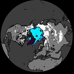 Sample NISE polar projection showing snow cover and sea ice extent for the Northern Hemisphere. 