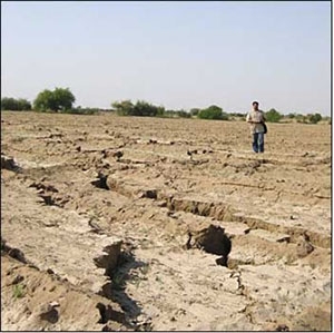 These cracks in the ground surface north of Chobari, India were caused by liquefaction induced during the Bhuj earthquake.