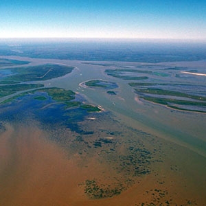 The Atchafalaya River delta meets the Gulf of Mexico.