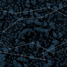 enhanced microscopic view of the covid-19 virus