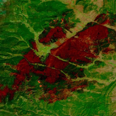 Image showing fire areas in red; unburned areas in green.