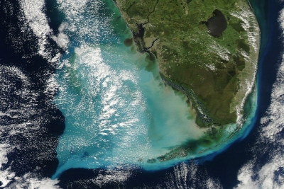 Surface reflectance image of sediment off the coast of South Florida on 30 September 2022 from the MODIS instrument aboard the Aqua satellite