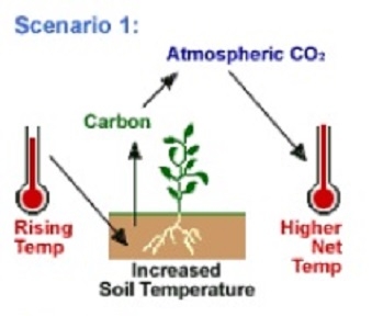 The image above shows how researchers selected global eight-kilometer AVHRR Pathfinder data from the Goddard Space Flight Center DAAC to perform their studies on carbon storage and plant growth. 