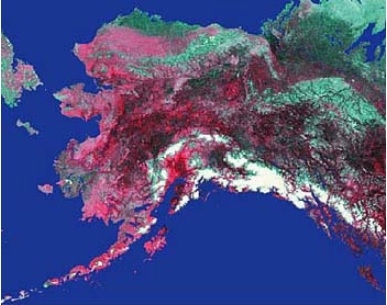 The image above is an Advanced Very High Resolution Radiometer (AVHRR) satellite image of Alaska.