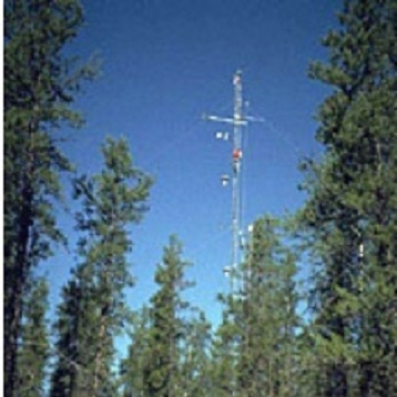 The image above shows measurements of the boreal forest taken through a flux tower.