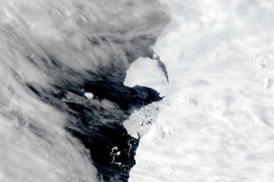 True-color image of iceberg A81 calving off the Brunt Ice Shelf, Antarctica on 29 January 2023 from the MODIS instrument aboard the Aqua satellite 