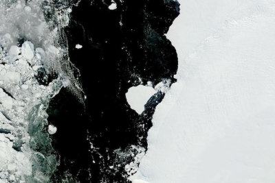 True color corrected reflectance image of Iceberg A81 drifting away from the Brunt Ice Shelf, Antarctica on 28 February 2023 from the MODIS instrument aboard the Terra satellite