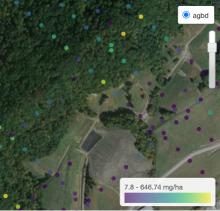 This webinar banner image shows GEDI aboveground biomass data imagery created using ORNL DAAC subsetting and visualization tools.