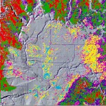 The AVHRR image above shows Land Cover- (Vegetative Use) for the Columbia Plateau in June 1993.