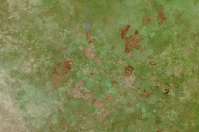False-color image of fires and burn scars in Botswana on 13 June 2023 from the VIIRS instrument aboard the Suomi NPP satellite