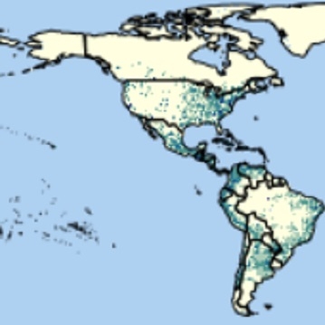 The image above shows part of the Gridded Population of the World (GPW) collection from SEDAC in 2000.