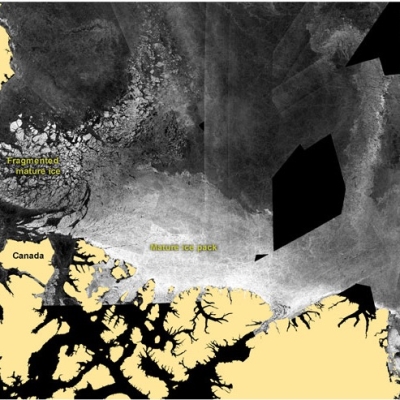 The image above shows part of a RADARSAT mosaic of Arctic sea ice from April 2009.